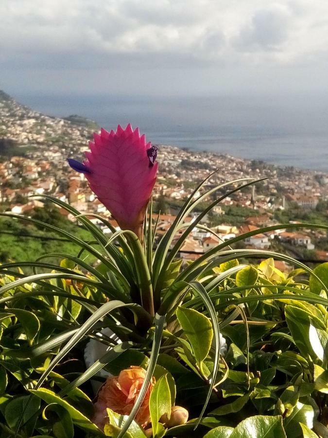 La Chambre De Ker Briac Bed & Breakfast Funchal  Exterior photo